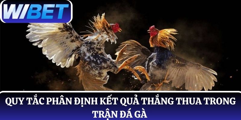 Quy tắc phân định kết quả thắng thua trong trận đá gà 