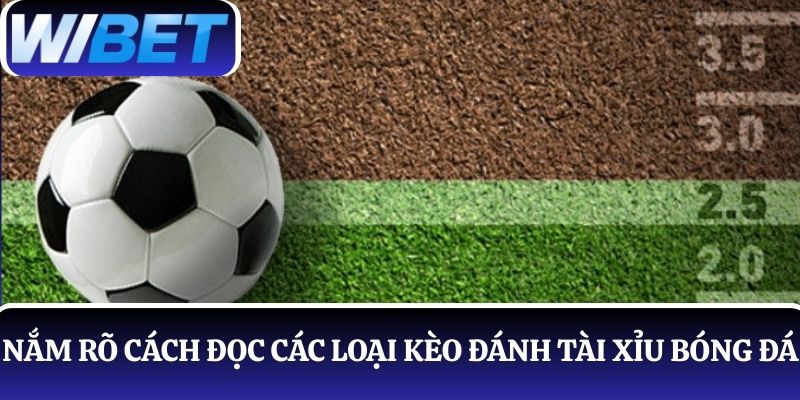 danh tai xiu bong da de dang khi nam ro cach doc keo