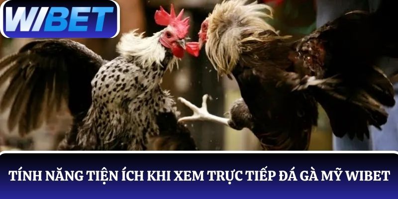 Khám phá 3 tính năng tiện ích khi theo dõi trực tiếp đá gà Mỹ tại WIBET