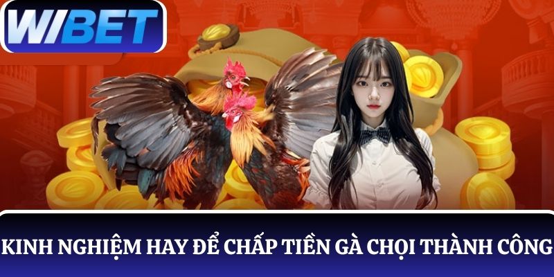 Mách nhỏ các kinh nghiệm hay để chấp tiền gà chọi thành công