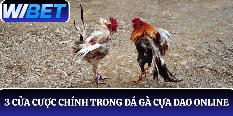 Nắm rõ về 3 cửa cược chính khi chơi đá gà cựa dao online