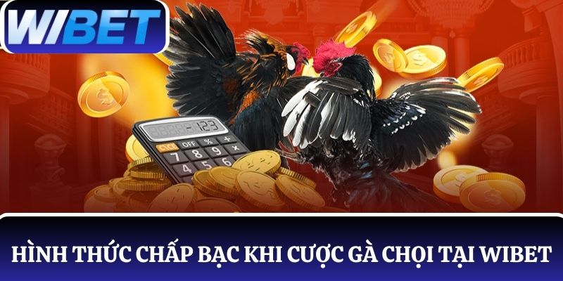 Sử dụng hình thức chấp bạc khi cược gà chọi tại WIBET