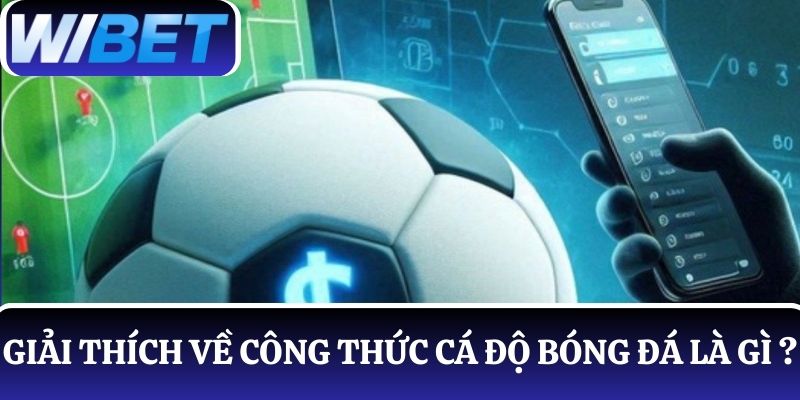 WIBET giải thích rõ cho tân thủ hiểu về công thức cá độ bóng đá